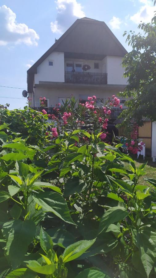 Leander Apartman Balatonlelle Eksteriør bilde