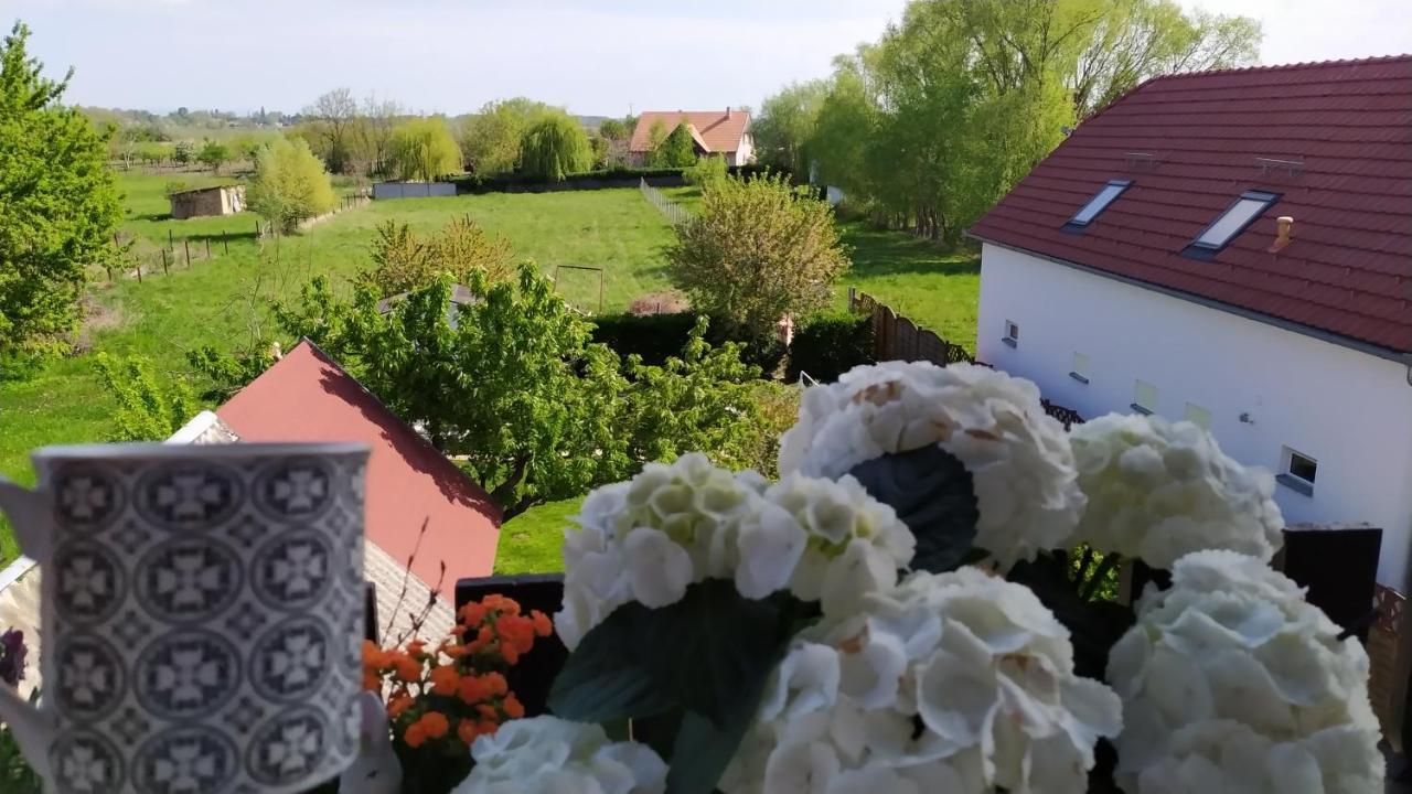 Leander Apartman Balatonlelle Eksteriør bilde
